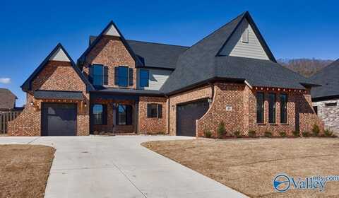 41 Belle River Way, Gurley, AL 35748