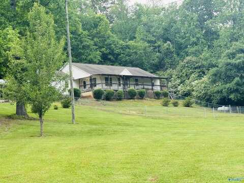 781 Lloyd Rd, Wellington, AL 35628