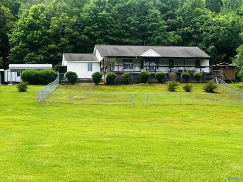781 Lloyd Rd, Wellington, AL 36279