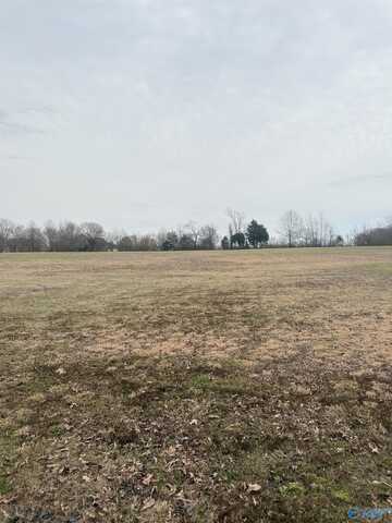 1.6 Acres Malone Estates, Athens, AL 35613