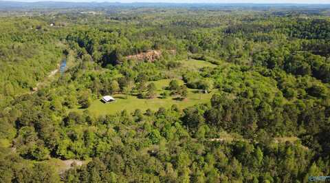 undefined, Trafford, AL 35172