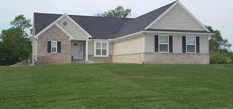 6425 Earl June Court, Dexter, MI 48130