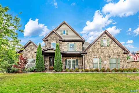 231 Mill Walk Court, Madison, AL 35758