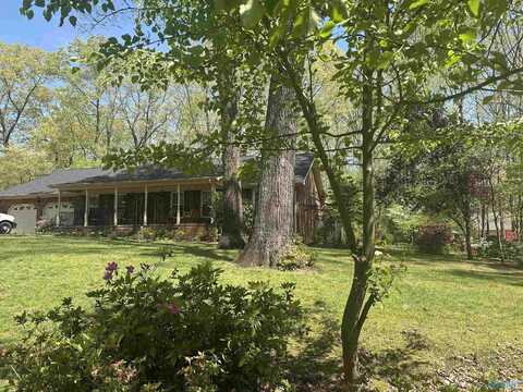 2008 Oakleaf Lane, Arab, AL 35016