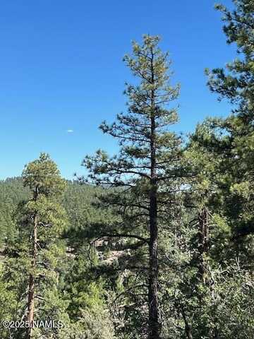 1642 Canyon View Loop, Williams, AZ 86046