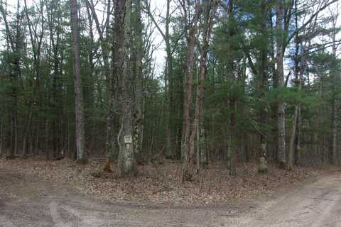 20 Acres E Koenig Road, Free Soil, MI 49411