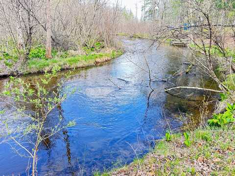 8811 S Greenwood Street, Baldwin, MI 49304