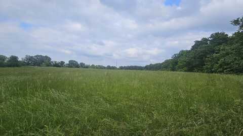 000 County Road 132, Norwood, MO 65717