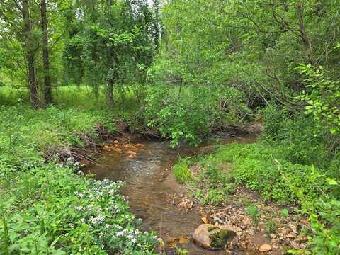 01 Bearmeat Road, Hiawassee, GA 30546