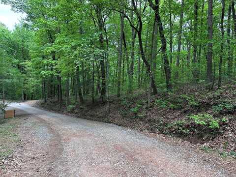 Tr1tr3 Flat Branch Trail, Ellijay, GA 30540