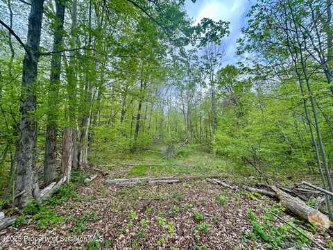 0 Maile Road, Greenfield Township, PA 18407
