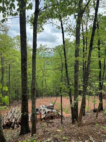 Lot 4-25 Sahkanaga Drive, Murphy, NC 28906