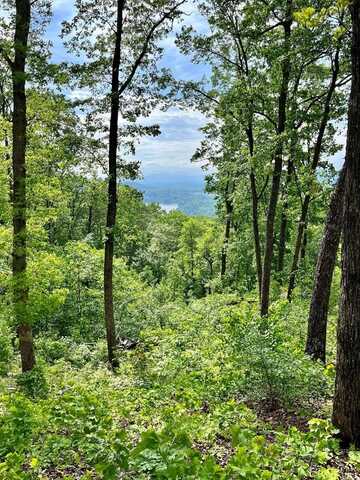 Lot 103 Highland Park Iii, Blairsville, GA 30512