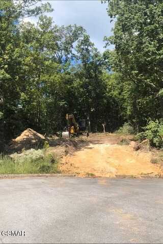 5 Shell Mountain Road, Sevierville, TN 37876