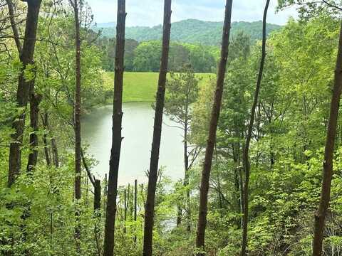 46 DJ Drive, Ellijay, GA 30540