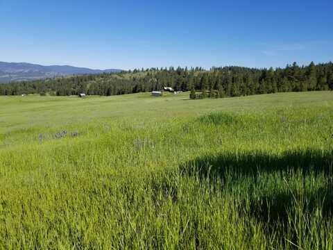 49 OLD RANCH HOUSE RD, REPUBLIC, WA 99166
