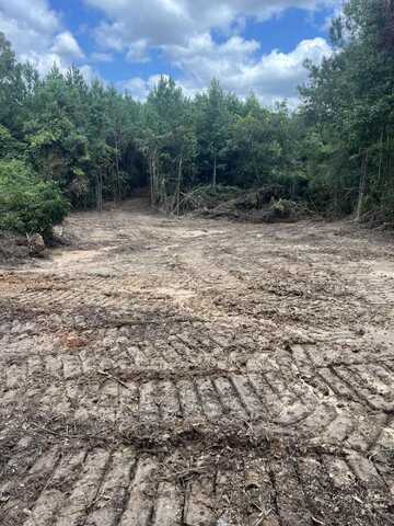 27.23 +/- Two Miles Rd., Prentiss, MS 39474