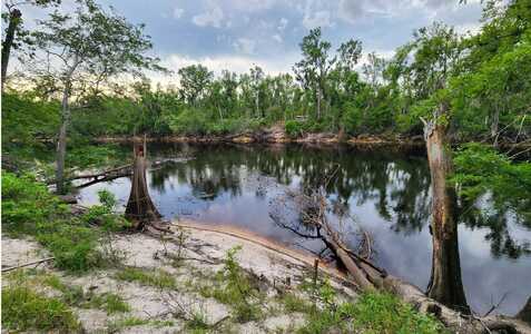 17521 10TH TERR, Live Oak, FL 32060