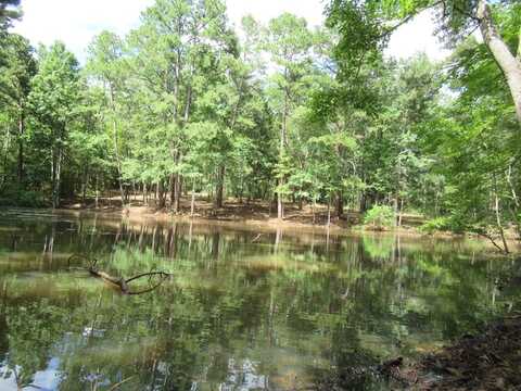 18.09 ac FM 343, Nacogdoches, TX 75964