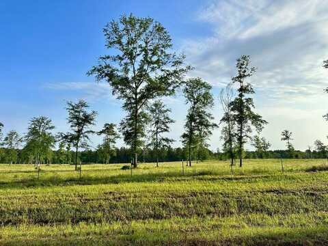 Tract 1 FM 2261, Shelbyville, TX 75973