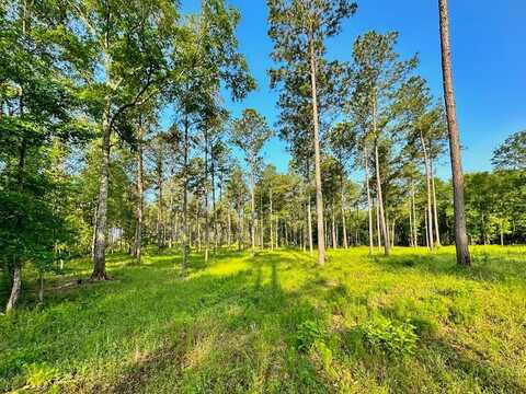 Tract 3 FM 2261, Shelbyville, TX 75973