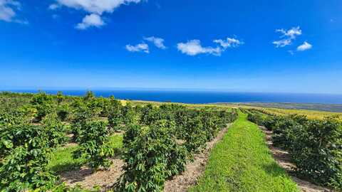 95-3869 HALEMAUNA RD, Naalehu, HI 96772