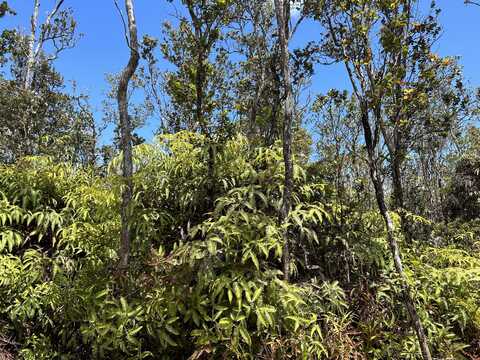 KALEPONI DR, VOLCANO, HI 96785