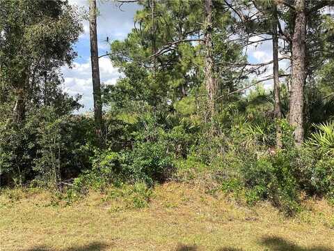 235 Otter Avenue NW, Lake Placid, FL 33852