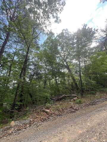 427 LONG VIEW DR, LURAY, VA 22835