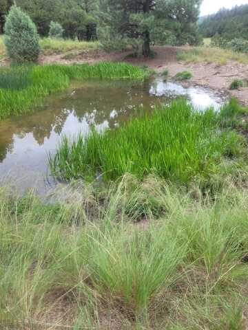 Tract B2 Agua Chiquita RD, Sacramento, NM 88347