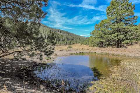 Tract B2 Agua Chiquita RD, Sacramento, NM 88347