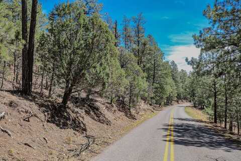 Tract B2 Agua Chiquita RD, Cloudcroft, NM 88317
