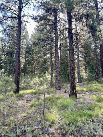 Lot 20 Meadows Rd, New Meadows, ID 83654