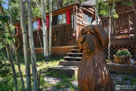1410 Caribou Rd, Nederland, CO 80466