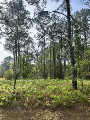 235 Barrington Ridge, Bogue, NC 28570