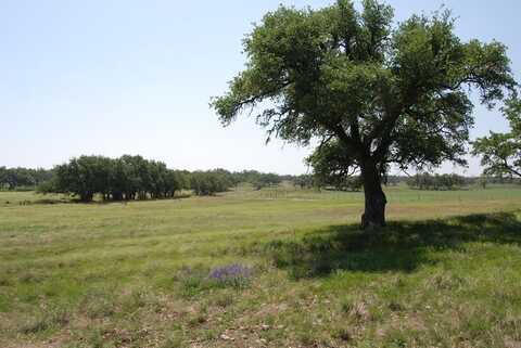 2165 FM 479, Harper, TX 78631