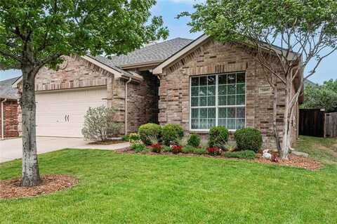 2005 Sunny Side Drive, Little Elm, TX 75068