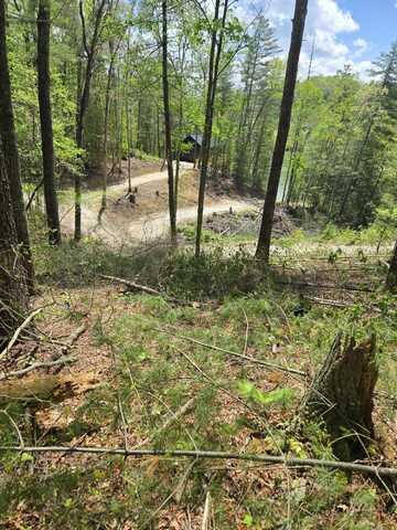 000 wolfe lake rd Road, Campton, KY 41301