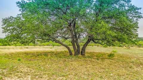Lot 4 County Road 332, Blanket, TX 76432