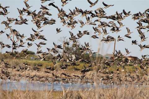 359 Acres CR 164, No City, TX 79521