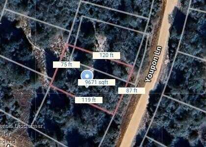 Lot 31 Youpon Lane, Normangee, TX 77871