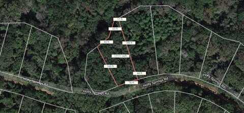 Lot 12 Holly Springs Road, Normangee, TX 77871
