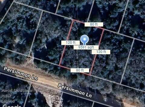 Lot 3 Persimmon Lane, Normangee, TX 77871