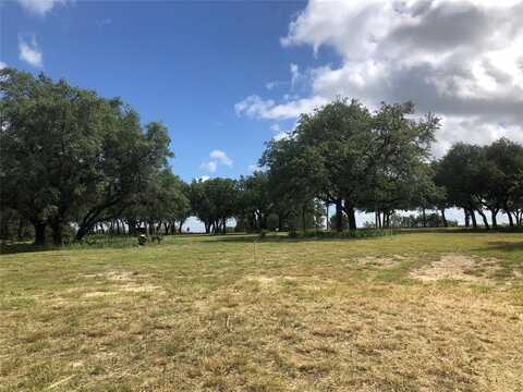 1900 Coleman Ranch Road, Tolar, TX 76746