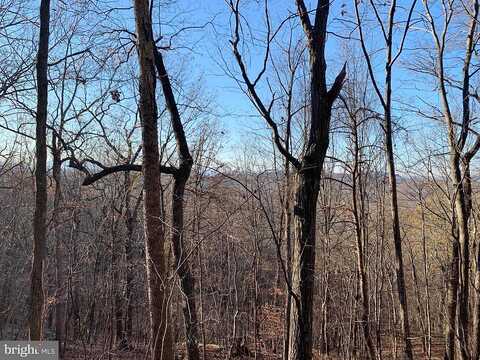 Carters Run Road, MARSHALL, VA 00000