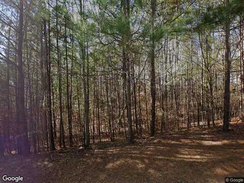 Se Shawnee Trl #26, Dallas, GA 30157