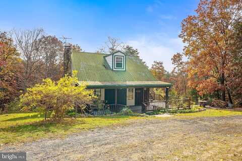 Hickory, MOUNT JACKSON, VA 22842