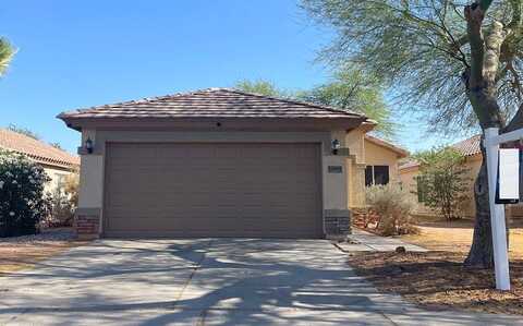 Aster, EL MIRAGE, AZ 85335