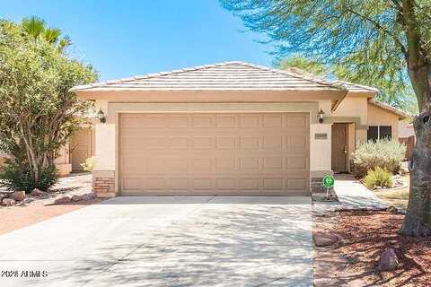 Aster, EL MIRAGE, AZ 85335