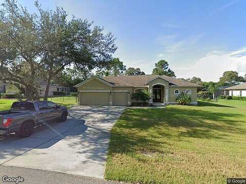 Rudi, SPRING HILL, FL 34609
